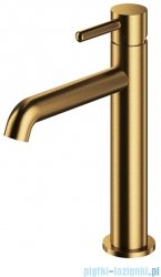 Omnires Y bateria umywalkowa 23 cm złoty szczotkowany Y1212CGLB
