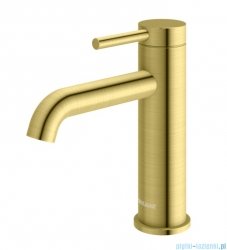 Kohlman Axel Brushed Gold bateria umywalkowa złoto szczotkowane QB105AGDB