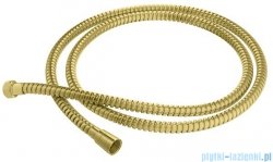 Kohlman Experience Brushed Gold wąż prysznicowy 150 cm złoto szczotkowane wazEGDB