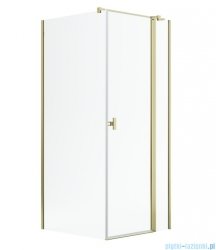 Radaway Nes Kdj II Gold kabina 120x75cm prawa złoty połysk 10032120-09-01R/10039075-01-01