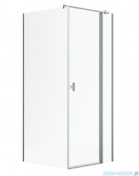 Radaway Nes Kdj II Brushed Nickel kabina 120x80cm prawa szczotkowany nikiel 10032120-91-01R/10039080-01-01