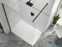 Sanplast Altus PIII/ALTIIa kabina walk-in 120x213 cm czarny matowy 600-121-2961-59-401