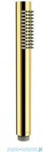 Deante Round Gold słuchawka prysznicowa 1-funkcyjna złota NOR Z51S