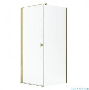 Radaway Nes Kdj I Gold kabina 80x75cm lewa złoty połysk 10022080-09-01L/10039075-01-01