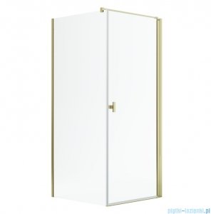 Radaway Nes Kdj I Gold kabina 80x100cm prawa złoty połysk 10022080-09-01R/10039100-01-01