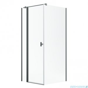 Radaway Nes Kdj II Brushed GunMetal kabina 120x100cm lewa szczotkowany grafit 10032120-92-01L/10039100-01-01