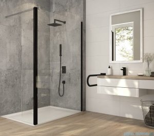 Sanplast Exa Line PR2/EXA LINE Kabina walk-in 100x200 cm czarny matowy 600-540-0990-59-401