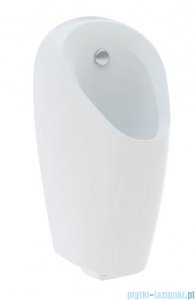 Geberit Selva pisuar z wbudowanym systemem spłukiwania, zasilanie sieciowe 116.082.00.1