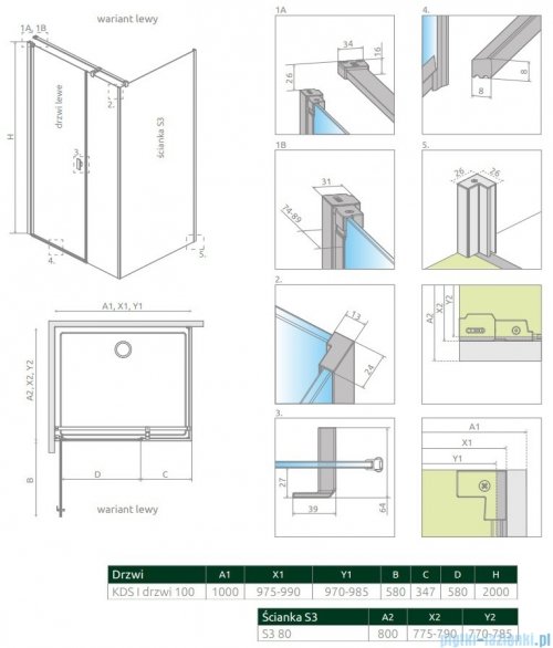 Radaway Nes Kds I Brushed Gold kabina 100x80cm lewa szczotkowane złoto 10023100-99-01L/10043080-99-01