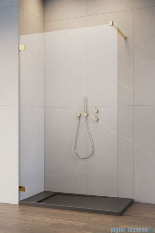 Radaway Essenza Pro Gold 160x200 kabina Walk-in złoty połysk/szkło przejrzyste 10103160-09-01