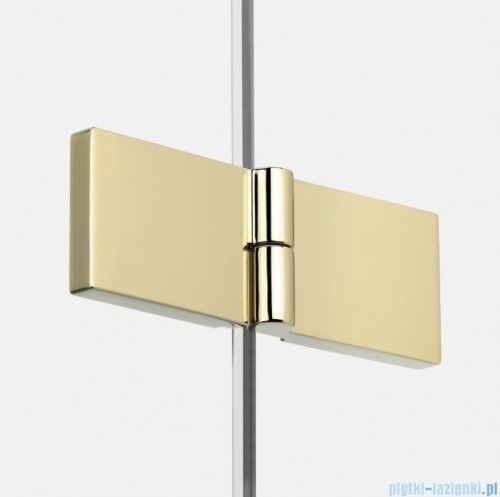 New Trendy New Soleo Light Gold 80x120x195 cm kabina lewa drzwi składane pojedyncze wspornik skośny złoty jasny połysk/szkło przejrzyste  K-1906