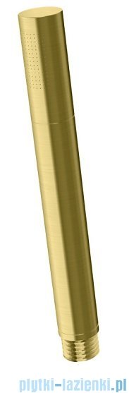 Kohlman Experience Brushed Gold zestaw prysznicowy z deszczownicą 30 cm złoto szczotkowane QW210EGDBR30