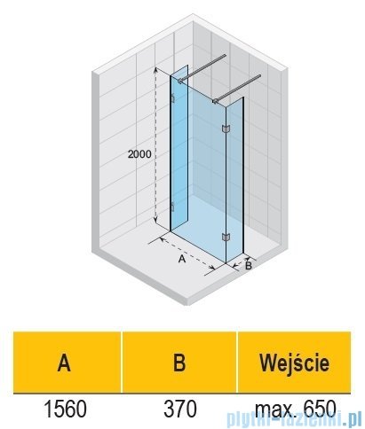 Riho Scandic NXT X202 kabina prysznicowa Walk In 160x200cm czarna G001052121
