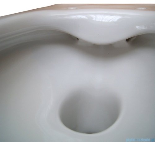 Roca Gap Rimless Miska WC wisząca A34647L000