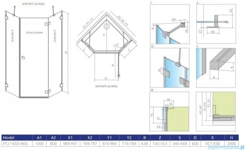 Radaway Essenza Pro Brushed GunMetal Ptj kabina pięciokątna 100x80 prawa szczotkowany grafit 10100000-92-01R/10100800-01-01