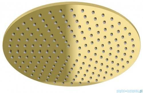 Kohlman Axel Gold zestaw prysznicowy z deszczownicą 25 cm złoty połysk QW210AGDR25