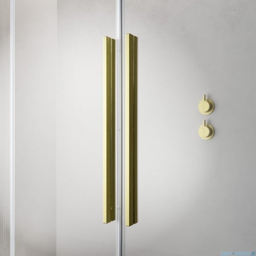 Radaway Furo Brushed Gold DWJ drzwi prysznicowe 110cm lewe szczotkowane złoto 10107572-99-01L/10110530-01-01