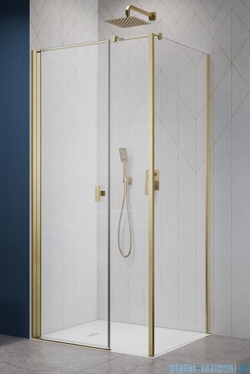 Radaway Nes Kds I Brushed Gold kabina 100x70cm lewa szczotkowane złoto 10023100-99-01L/10043070-99-01