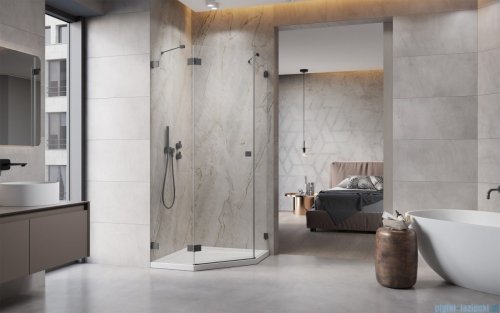 Radaway Essenza Pro Brushed GunMetal Ptj kabina pięciokątna 80x100 lewa szczotkowany grafit 10100000-92-01L/10100500-01-01
