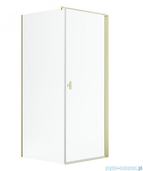 Radaway Nes 6 Kdj I Brushed Light Gold kabina 80x100cm prawa szczotkowane jasne złoto 10022080-98-01R/10039100-01-01