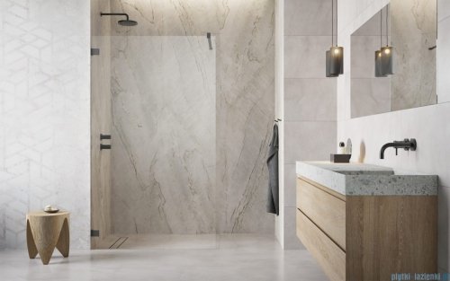Radaway Essenza Pro Brushed GunMetal 80x200 kabina Walk-in szczotkowany grafit 10103080-92-01