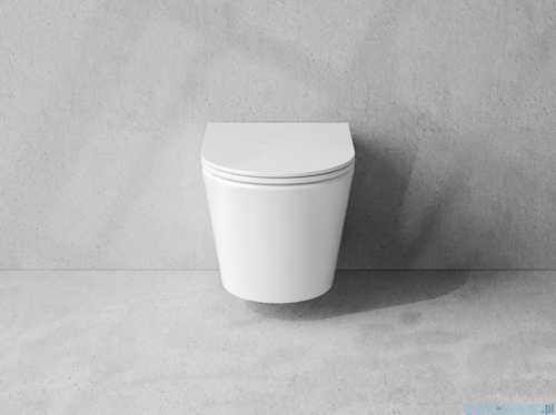 Besco Laax White miska WC wisząca + deska wolnoopadająca Laax White biały połysk #ZLA-B-DLB