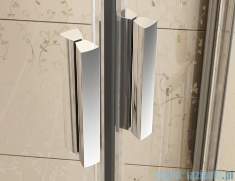 Ravak Blix BLDP2 drzwi prysznicowe 120cm aluminium transparent Anticalc 0PVG0C00Z1