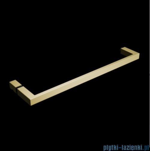 Radaway Nes 6 Kdj II Brushed Light Gold kabina 100x70cm prawa szczotkowane jasne złoto 10032100-98-01R/10039070-01-01