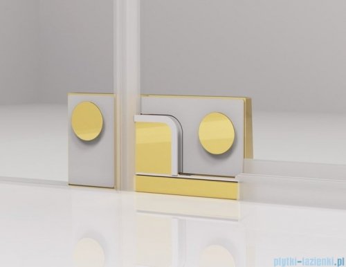 SanSwiss Cadura Gold Line drzwi wahadłowe 100 cm jednoczęściowe lewe z profilem przyściennym CA1CG1001207
