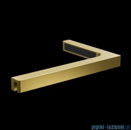 Radaway Nes Brushed Light Gold Dws Drzwi wnękowe 120cm lewe szczotkowane jasne złoto szkło przejrzyste 10028120-98-01L