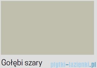 Novellini Skill 2A kabina z hydromasażem lewa gołębi szary 120x100 SKIA210ST1F-1AN2