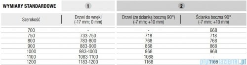 Ronal ANNEA AN13 Gunmetal szczotkowany Drzwi jednoczęściowe ze ścianką stałą w linii 110x200cm prawe grafit szczotkowany AN13D11002607