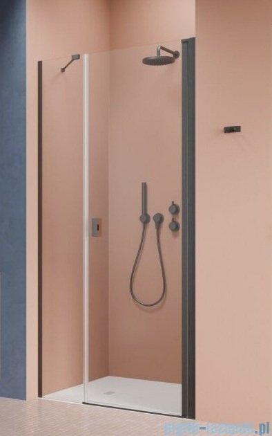 Radaway Nes Brushed GunMetal Dws drzwi wnękowe 100cm prawe szczotkowany grafit szkło przejrzyste 10028100-92-01R