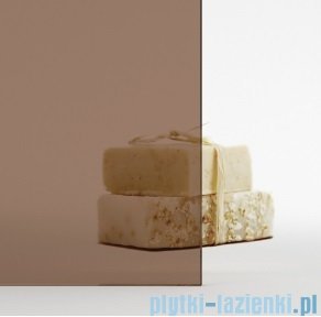 Radaway Essenza Pro Ptj kabina pięciokątna 100x80 prawa przejrzyste 10100000-01-01R/10100800-01-01 