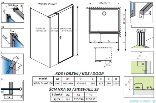 Radaway Nes 6 Kds I Brushed Light Gold kabina 100x75cm prawa szczotkowane jasne złoto 10023100-98-01R/10043075-98-01