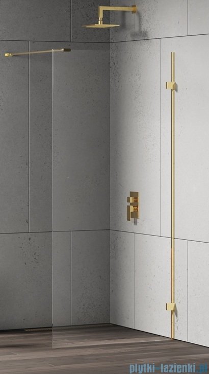 New Trendy Eventa Gold Shine kabina walk-in 110x200 cm przejrzyste Złoty połysk EXK-4842