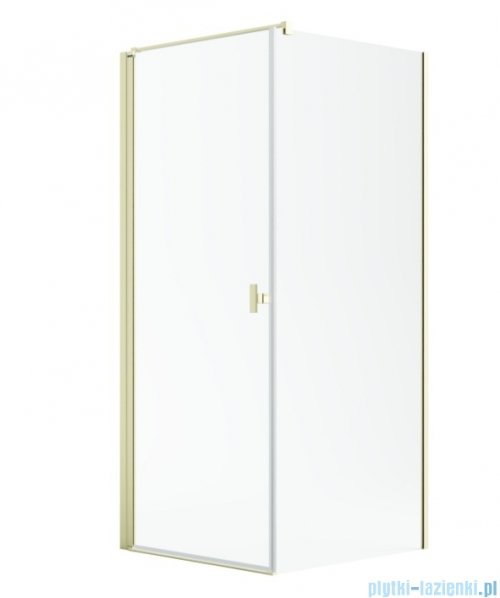 Radaway Nes 6 Kdj I Brushed Light Gold kabina 90x90cm lewa szczotkowane jasne złoto 10022090-98-01L/10039090-01-01