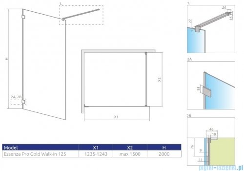 Radaway Essenza Pro Gold 125x200 kabina Walk-in złoty połysk/szkło przejrzyste 10103125-09-01