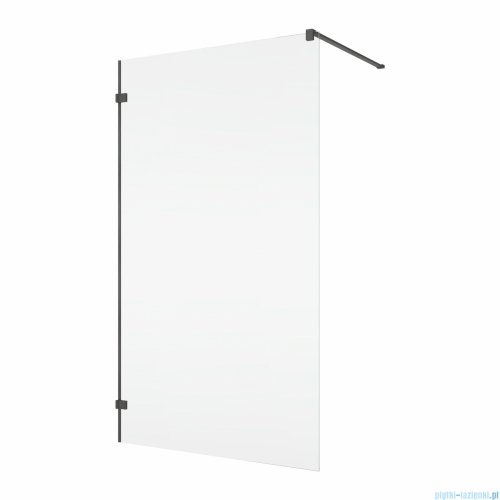 Ronal ANNEA ANTW1 Gunmetal Szczotkowany Ścianka wolnostojąca Walk-in 120x200 cm z uchwytem kątowym grafit szczotkowany ANTW112002607