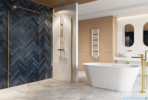 Excellent Vidoq walk-in kabina prysznicowa gięta, ścianka prosta 100cm, ścianka gięta 93cm złoty połysk KAEX.1507.K.1000.0930.GL