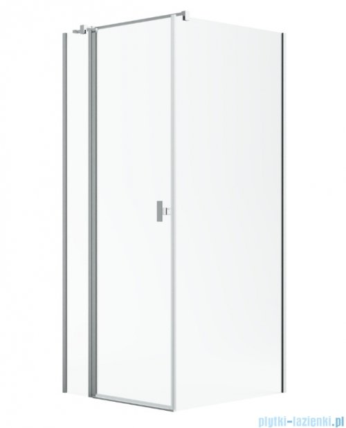 Radaway Nes Kdj II Brushed Nickel kabina 120x80cm lewa szczotkowany nikiel 10032120-91-01L/10039080-01-01
