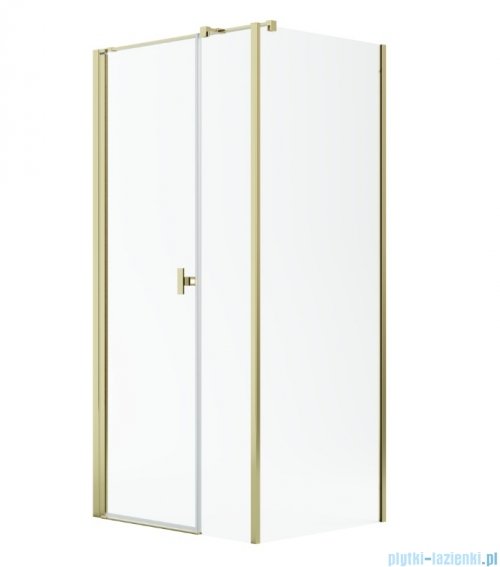 Radaway Nes Gold Kds I kabina 100x100cm lewa złoty połysk 10023100-09-01L/10043100-09-01