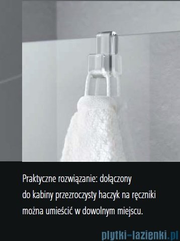 Kermi Tusca drzwi wahadłowe 1-skrzydłowe z ścianką stałą prawe 120 cm TU1FR12020VPK