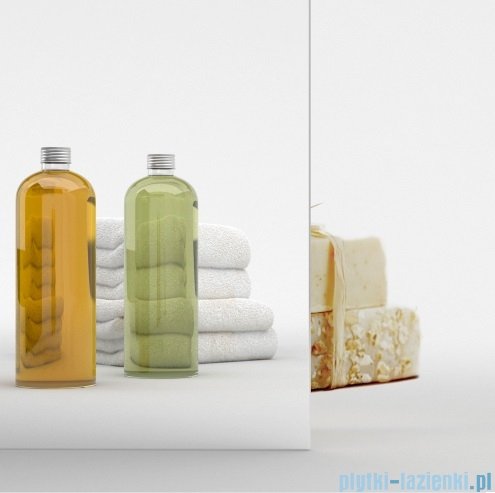 Radaway Nes 6 Kds I Brushed Light Gold kabina 100x70cm lewa szczotkowane jasne złoto 10023100-98-01L/10043070-98-01