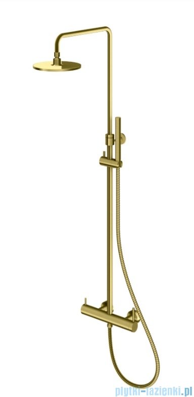 Kohlman Axel Brushed Gold zestaw prysznicowy z deszczownicą 20 cm złoto szczotkowane QW276AGDB