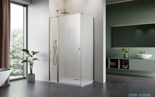 Radaway Nes Kdj II Brushed Gold kabina 120x90cm lewa szczotkowane złoto 10032120-99-01L/10039090-01-01