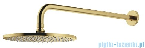 Omnires SlimLine Deszczownica mosiężna 1-funkcyjna ø 25 cm z ramieniem mosiądz szczotkowany WGSET1BSB