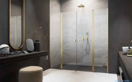 Radaway Nes DWD II Brushed Gold drzwi wnękowe 170cm W4 szczotkowane złoto 10037073-99-01/10041097-99-01