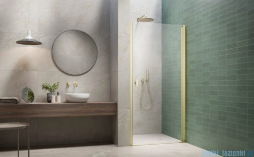 Radaway Nes Brushed Light Gold Dwj I Drzwi wnękowe 100cm prawe szczotkowane jasne złoto szkło przejrzyste 10026100-98-01R