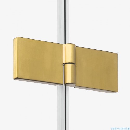 New Trendy Nesta Gold Brushed kabina 100x80x200 cm lewa wspornik równoległy złoto szczotkowane/szkło przejrzyste K-4413